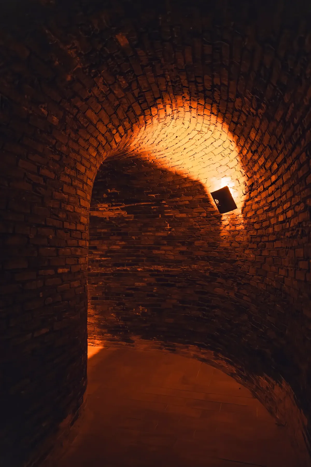 Cantina storica in pietra, volta a botte illuminata
